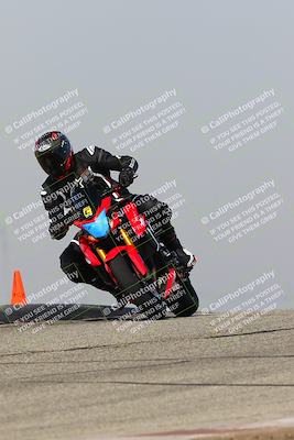 media/Feb-10-2023-TrackDaz (Fri) [[827c11d241]]/C Group/1245pm (Outside Grapevine)/